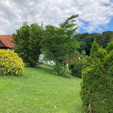 Herzhof Lampert Apartment Riegersburg Exterior photo